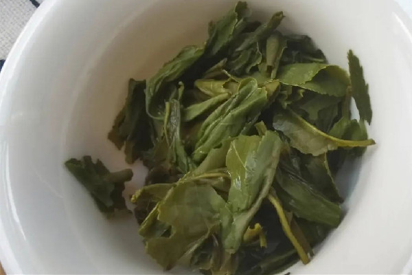 六安瓜片會影響睡眠嗎 六安瓜片不適合什么人喝 六安瓜片會影響睡眠嗎 六安瓜片不適合什么人喝