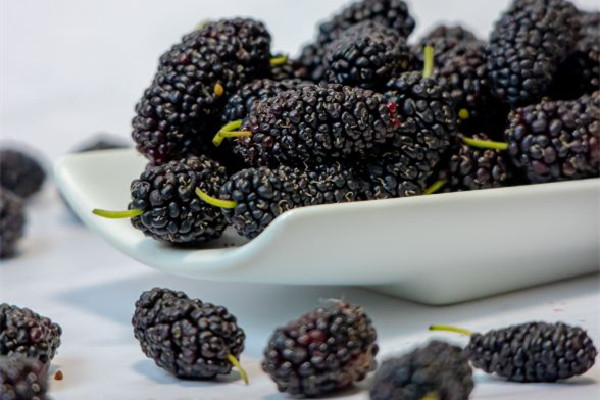 桑葚和黑莓的區(qū)別 桑葚可以和什么一起泡水喝 桑葚和黑莓的區(qū)別 桑葚可以和什么一起泡水喝