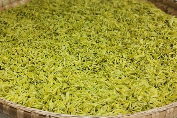 黃茶產(chǎn)地哪里最好 黃茶什么季節(jié)喝比較合適 黃茶產(chǎn)地哪里最好 黃茶什么季節(jié)喝比較合適