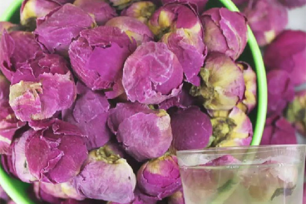 牡丹花茶十大最佳搭配 牡丹花茶和玫瑰花茶有什么區(qū)別 牡丹花茶十大最佳搭配 牡丹花茶和玫瑰花茶有什么區(qū)別