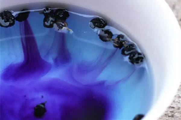 花青素用熱水泡會(huì)被破壞嗎 花青素用多少溫度的水